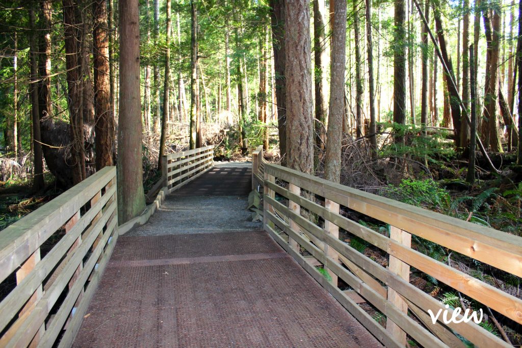 The best things to see and do along the Oceanside Route from Parksville to Campbell River on Vancouver Island. An Oceanside Route Road Trip.